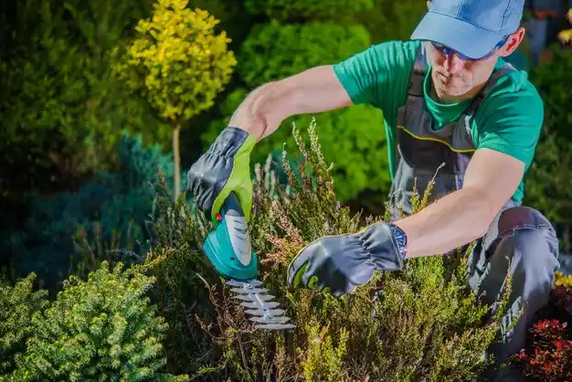 landscaping services Mamou